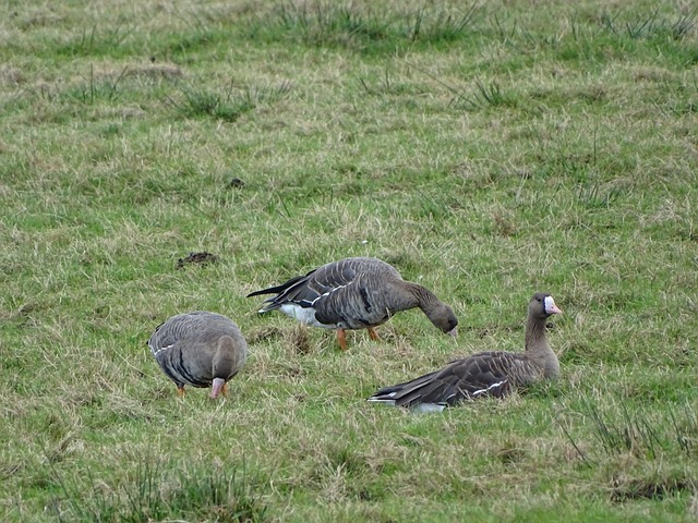 的跑位极其 的跑位极其