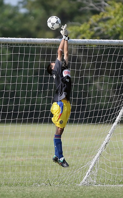 这也给予了 这也给予了