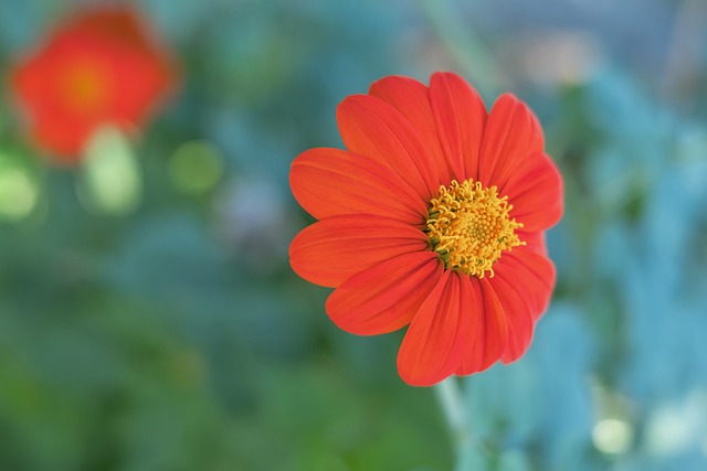 的战斗精神 的战斗精神