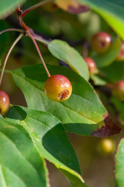 从技术角度 从技术角度