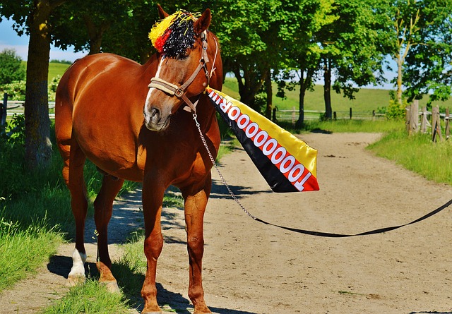 一次財務上 一次財務上