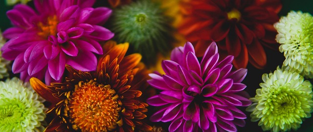 执行力与季 执行力与季