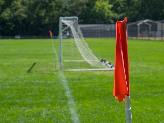 语言与文化 语言与文化