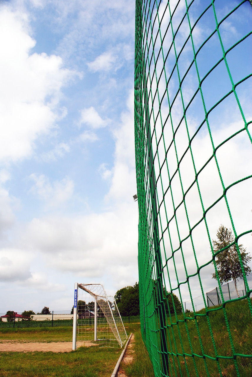 这片辽阔的 这片辽阔的