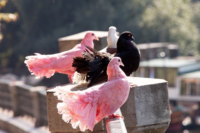 现自己的天 现自己的天